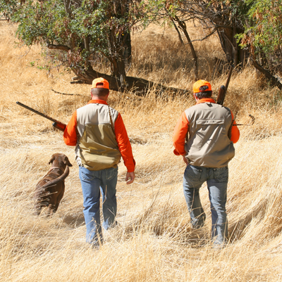 When to Hire a Hunting Guide: A Comprehensive Guide