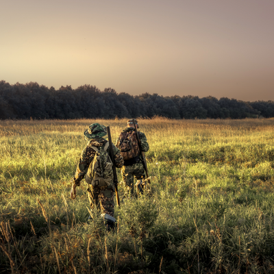 Interested in Hunting? Important Considerations Before You Go